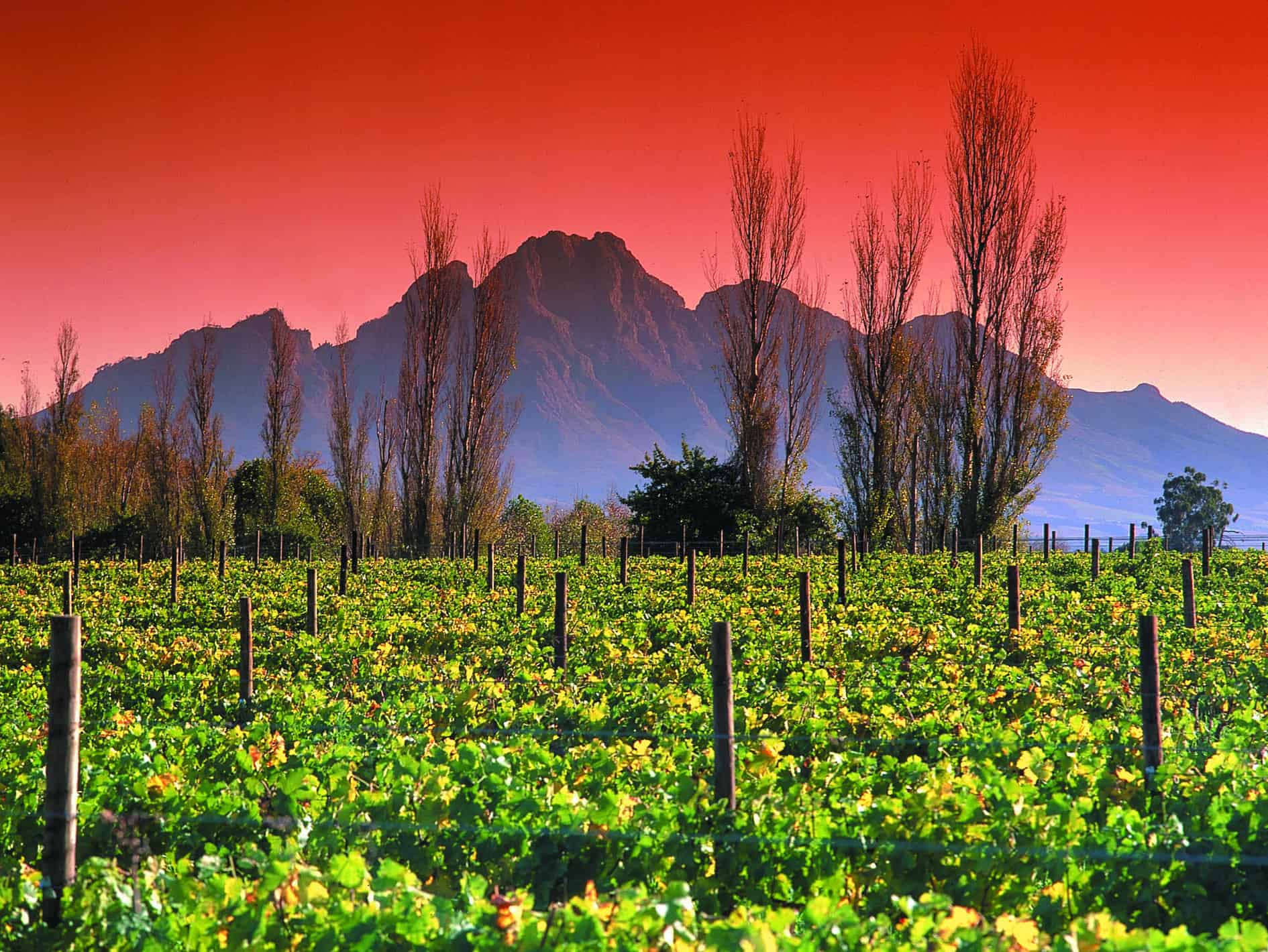 winelands