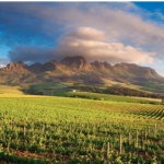 cape town