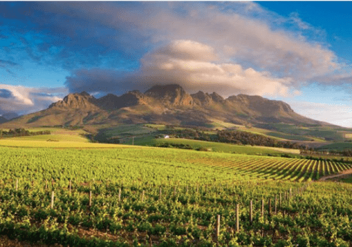 orientarsi cape town