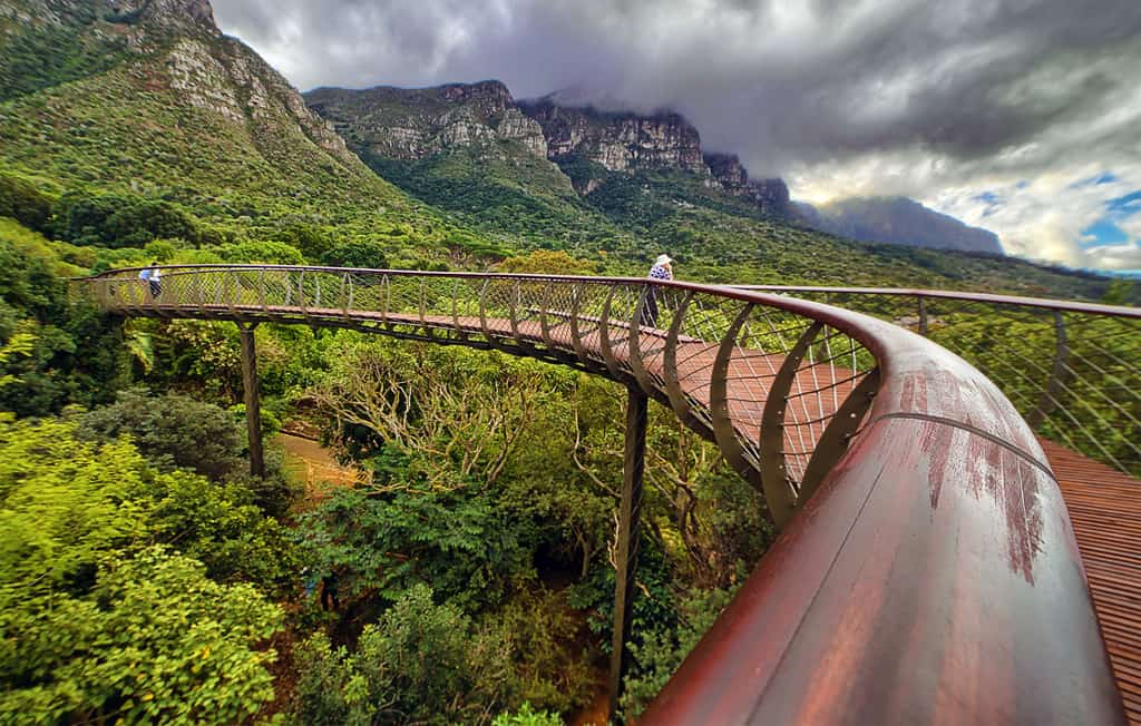 Kirstenbosch Gardens